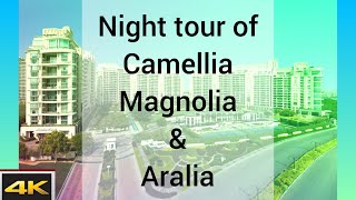 the Camellias  NIGHT TOUR OF GOLF LINK  dlf the magnolia  dlf the camellias  dlf the aralias [upl. by Heinrik40]