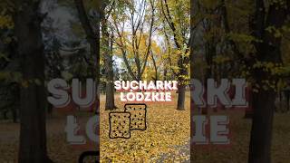 🛶🍞 Sucharek Łódzki [upl. by Intruok]