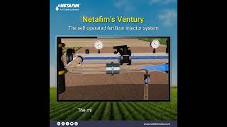 How to Boost your Fertilizer Efficiency using Netafims Ventury [upl. by Yeltrab]