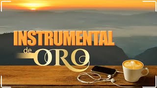 Musica Instrumental de Oro Para Escuchar  30 Grandes Exitos Instrumentales [upl. by Gabriell990]