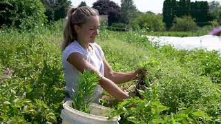 A Tour of Sustainability at Lafayette College [upl. by Garnes]