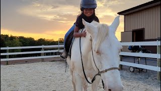 How to clean your horse’s sheath horse youtubevideo teaching [upl. by Adnohsor]