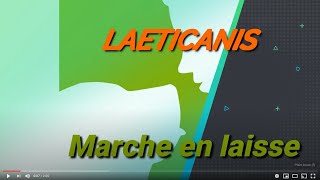 Marche en laisse [upl. by Llenrag]