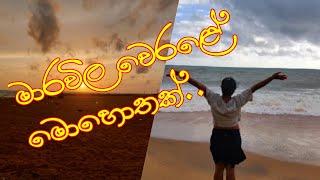 Marawila Beach  මාරවිල වෙරළේ මොහොතක්  Travel with Mom [upl. by Dasteel]