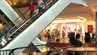 Timisoara  Iulius Mall in 2010 [upl. by Eustacia]