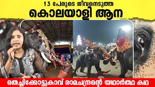 തെച്ചിക്കോട്ടുകാവ് രാമചന്ദ്രന്റെ യഥാർത്ഥ കഥ  The real story of Keralas Legendary Elephant [upl. by Astiram]