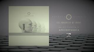 Animals as Leaders  quotApeirophobiaquot Slowed  Reverb [upl. by Adlee538]