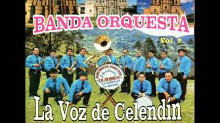 16 Camino a España Cumbia  Banda Orquesta La voz de Celendin VOL 2 [upl. by Maisie]