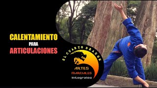 Calentamiento de Artes Marciales para articulaciones [upl. by Krefetz188]