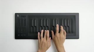 Seaboard RISE overview [upl. by Klemm]