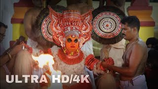 Pulikandan Vellattam  പുലികണ്ടൻ വെള്ളാട്ടം  Kodakkad  Panayakkat  Theyyam Kasaragod  4K Video [upl. by Geri]