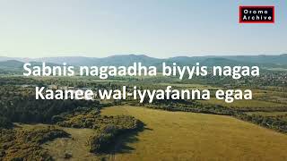 New amp Old Ethiopian Oromo music 2023 Ilfinesh Keno with Lyrics Weellee garaa nama nyaatuIlfinash [upl. by Navaj]