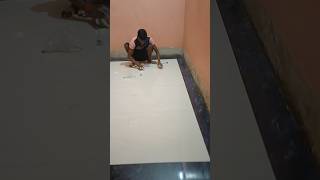 पूरे कमरे में टाइल्स सेट होने के बाद construction floor tiles [upl. by Spearing]