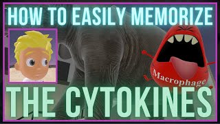 How to EASILY Memorize the Cytokines [upl. by Novyart935]