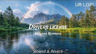 quotOlivia Rodrigo  Drivers License Slowed  Reverb  Emotional Heartbreak Anthemquot [upl. by Lisan820]