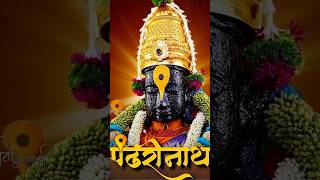 ekadashi vitthal pandurang kartikmaas mauli viralshort pandharpur viralshort [upl. by Fidole]