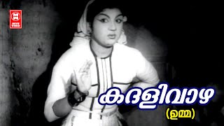 Kadhalivazha Kayyilirunnu  Umma  P Bhaskaran  MS Baburaj  Jikki  Evergreen Old Hits [upl. by Rehtaeh]