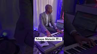 Sengiyabala Nkosi 🎼🎼🎼 cred Tshepo Moleshi 🎹 shorts keyboardist music wedding [upl. by Norabal]