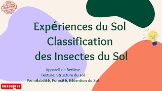 Des expériences du Sol Classification des insectes du Sol  GuilMini [upl. by Sikleb]