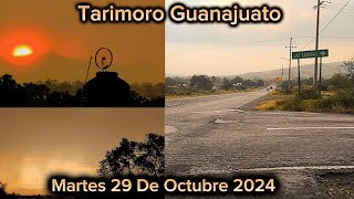 Tarimoro Guanajuato Martes 29 De Octubre 2024 [upl. by Hazlett]