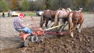 2015 Draft Horse amp Mule Plow Day full [upl. by Massab113]