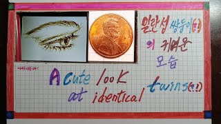 🌟🌟🌟🌟🌟  🇺🇲🇰🇷  Do you find quotquotTransitional Error quotquot Coin    ☆ 8 ☆  희귀한  Error  미국동전 [upl. by Garbe]