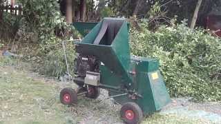 Shredding amp Chipping A Holly Tree [upl. by Edelson]