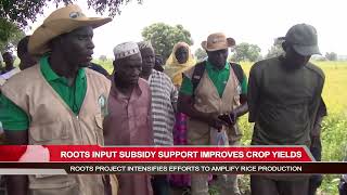 Roots project officials tour farmlands in the Upper River Region [upl. by Llenra]