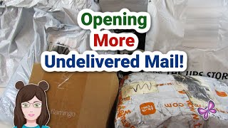 Opening UNDELIVERED MAIL Again Was It Worth It [upl. by Anilegna]