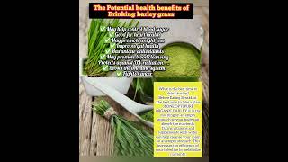 ONE OPTI PURE ORGANIC BARLEY What are the benefits of eating barley grass barleybenifits barley [upl. by Hock]