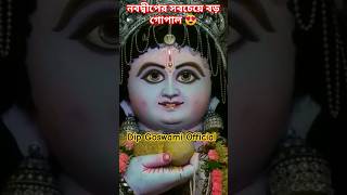 Nabadwip Gopal Puja 2024 ❤️ Gopal Thakur Status l Dol Purnima Status l Happy Holi 2024 shorts [upl. by Ecnerat]