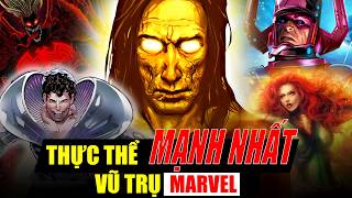 Những Thực Thể Mạnh Nhất Vũ Trụ Marvel  Kẻ Nào Bá Nhất và Đứng Trên Tất Cả [upl. by Trotter978]