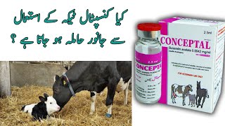 Uses of Conceptal Injection Chances of pregnancy With Conceptal Injection Urdu Hindi  Dr Noman Ali [upl. by Eizle]