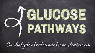 Pathways of Glucose Metabolism  Part 5 Carbohydrate Foundations  Macronutrients Lecture 51 [upl. by Retse98]