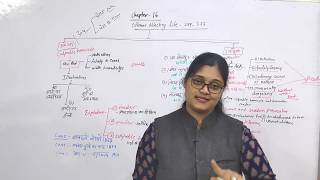 IPC Section 299 and 300 Explained in Details helpfull for Main Exams By URMILA RATHI [upl. by Aydne]