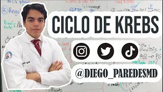 Ciclo de Krebs  BIOQUÍMICA [upl. by Acinorej228]