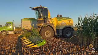 Orrson Custom Farming Corn Silage Harvest in North West Ohio [upl. by Woodhead]