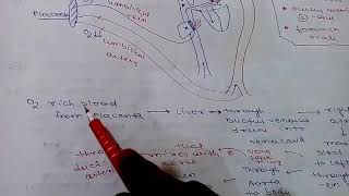 FOETAL CIRCULATION AND CHANGES AFTER BIRTHDR NAJEEB LECTURE REVIEW VIDEO [upl. by Naruq]