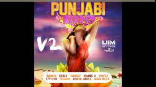 PUNJABI RIDDIM V2 MIXX BY DJMoM [upl. by Sibyls]