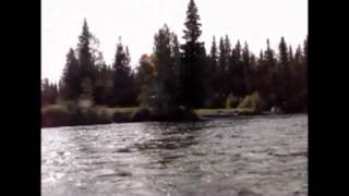 A New Alaskan Record Grayling  released for another day [upl. by Nap410]