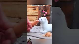 Little ermine want a help from a men  watch now how men help this cute ermine  shorts pets [upl. by Michella]