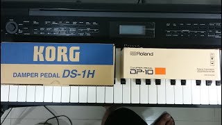 Korg DS1H amp Roland DP10 Damper Pedals Unboxing amp Review Tagalog [upl. by Kirrad]