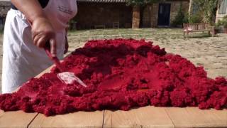 How to Make Tomato Paste in Sicily [upl. by Kurzawa49]