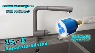 HILFE Wasserhahn TROPFT  So habe ich 200€ gespart   TUTORIAL  BLANCO  Küchenamatur [upl. by Nilram]