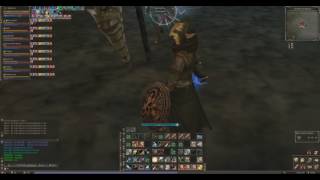 PVP SwordSinger GranKain 01122017 [upl. by Damon608]