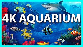 The Best 4K Aquarium for Relaxation 🐠 Relaxing Oceanscapes  Sleep Meditation 4K UHD Screensaver [upl. by Mccoy264]