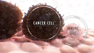 Immunotherapy for Cancer What It Is and Why It’s Used [upl. by Meill]