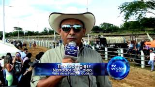 Toros Coleados Valle de la Pascua Guarico [upl. by Trillby]