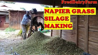 NAPIER GRASS SILAGE MAKING [upl. by Ennahteb]