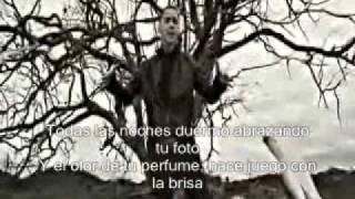 Baby Rasta y Gringo Cupido Me Mintio Official Video Con Letra [upl. by Marb]